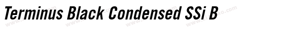 Terminus Black Condensed SSi Bold Condensed字体转换